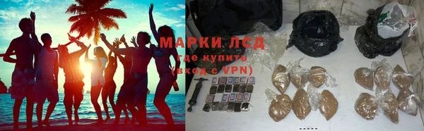 стаф Балахна