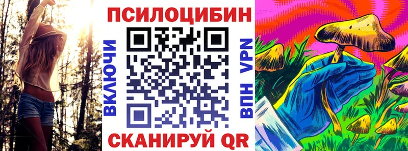 где купить наркоту  Нижние Серги  Галлюциногенные грибы Psilocybine cubensis 